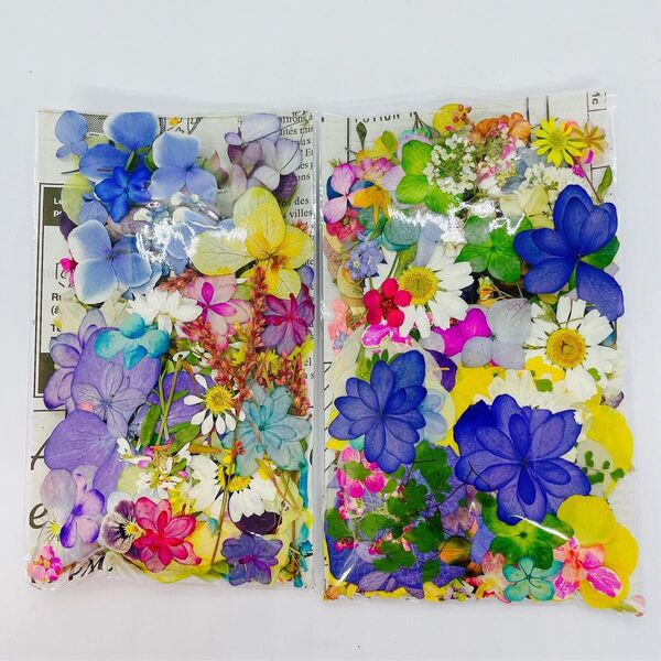 押し花&ドライフラワー花びらフラワーパーツ 15