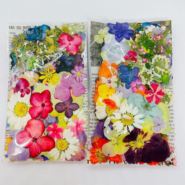 押し花&ドライフラワー花びらフラワーパーツ 17