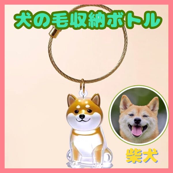 柴犬 犬の毛 キーホルダー けだま ケース 収納 ペット