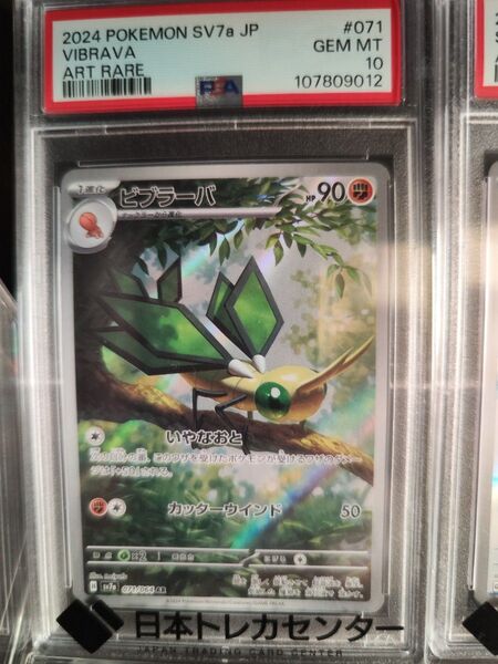 ポケモンカード ビブラーバ AR PSA10 GEM MT 10 バイオレットex