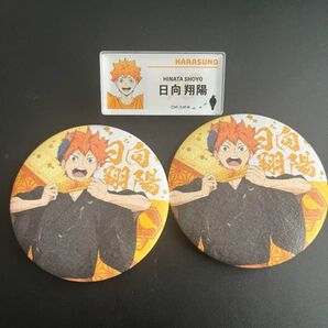 ハイキュー 日向翔陽 缶バッジ 名札 セット