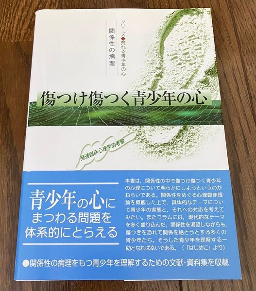 傷つけ傷つく青少年の心 : 関係性の病理 : 発達臨床心理学的考察