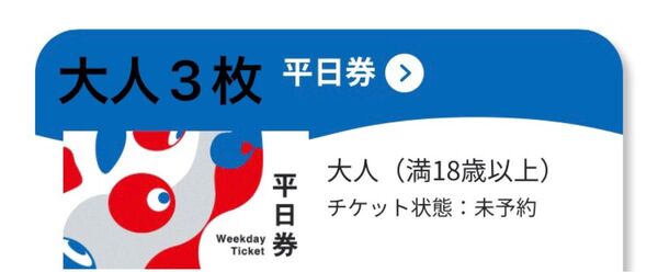 万博 チケット 平日券 大人 3枚 関西万博 大阪 入場チケット EXPO2025