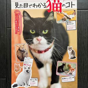 見た目でわかる猫のコト・毛色・柄・しぐさでわかる猫のキモチ SAKURA MOOK 14