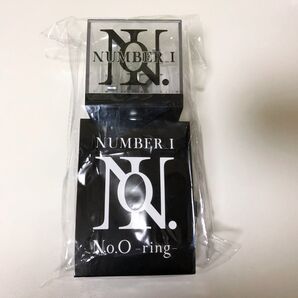 Number_i ペンライト No.O ring ナンバーアイ