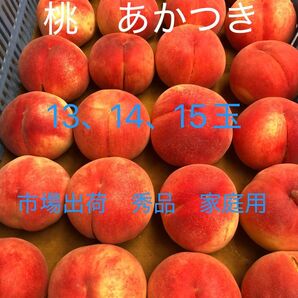 Y④ 長野県産 農家直送 桃 あかつき 13、14、15玉 秀品 100サイズ 朝採り 特大〜大玉