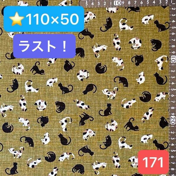 ★171生地/猫柄【110cm×50cm】ラスト!(★マーク生地は3点1300円、4点1600円)