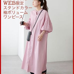 DISCOAT ディスコート【WEB限定】スタンドカラー 袖ボリュームワンピース