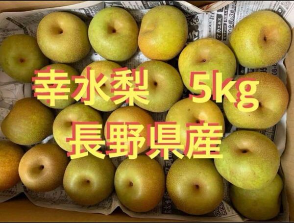 長野県産 信州産 幸水梨 梨 なし 家庭用 箱込み5KG
