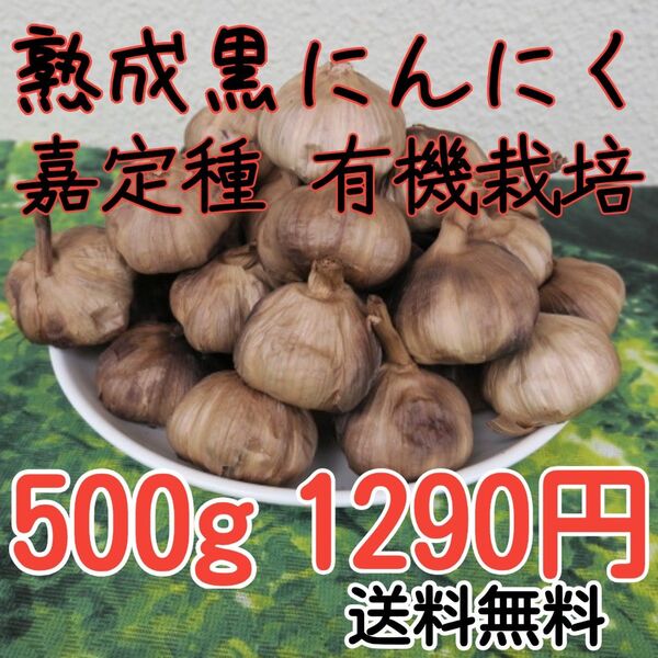 完熟黒にんにく 嘉定種 有機JAS認証 濃厚 500g 食品衛生責任者許可あり