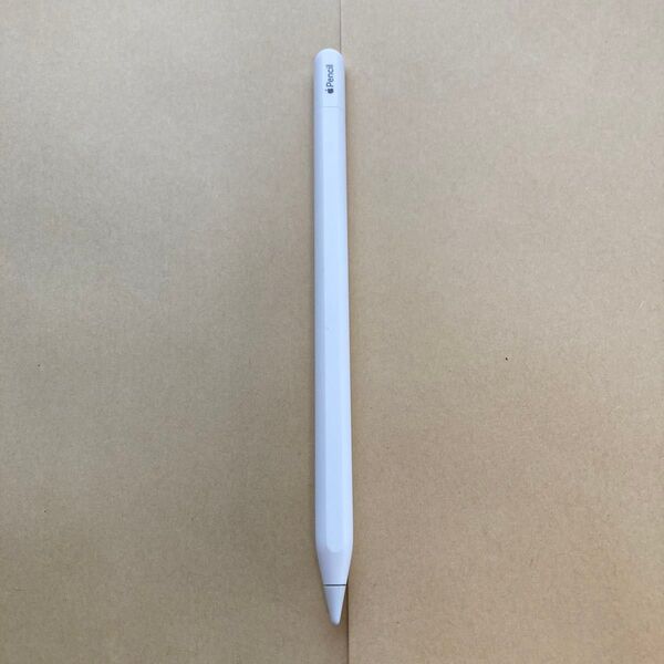 27082 Apple Pencil(USB-C) MUWA3ZA/A 中古品