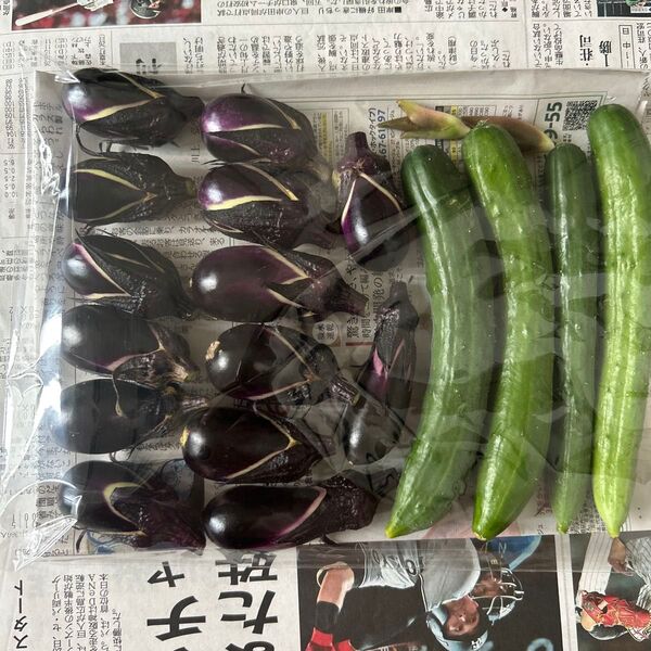 野菜詰め合わせ ネコポス