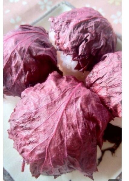 赤しそ 一枚漬け 梅酢漬け 200g おにぎり ゆかり 無農薬 無添加