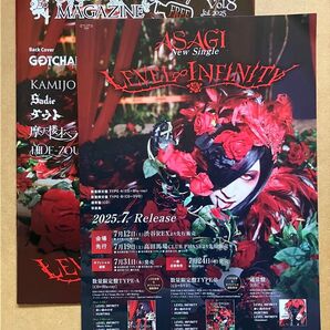 Mad Tea Party MAGAZINE Vol.8 & ASAGI LEVEL INFINITY フライヤー まとめ売り