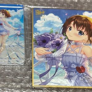 リリカルなのは DMM ミニアクリルブロック 色紙 はやて