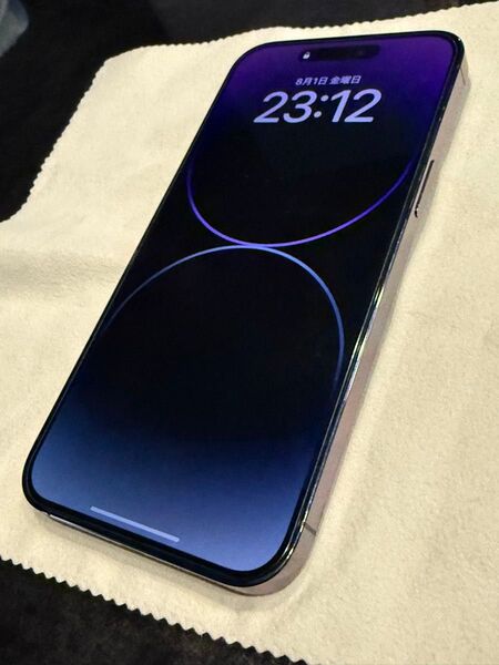 中古美品 SIMフリー iPhone Pro Max 128GB ディープパープル バッテリー86% 付属品あり Apple