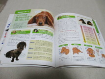 「 ミニチュア・ダックスフンドの飼い方・しつけ方 」 ・送料 310円（厚さ3㎝まで／同梱発送可 370円）_画像5