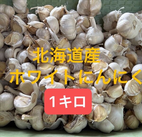北海道産 にんにく ホワイト 1kg