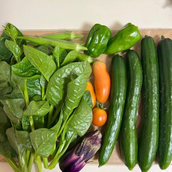 朝取れ野菜詰め合わせ