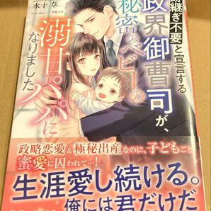 跡継ぎ不要と宣言する政界御曹司が、秘密のベビーの溺甘パパになりました (マーマレード文庫2025/4) 水十草