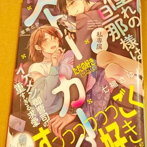 憧れの旦那様は私専属ストーカー!? イケメン御曹司の重すぎる求愛 (オパール文庫2024/6) 七福さゆり/著