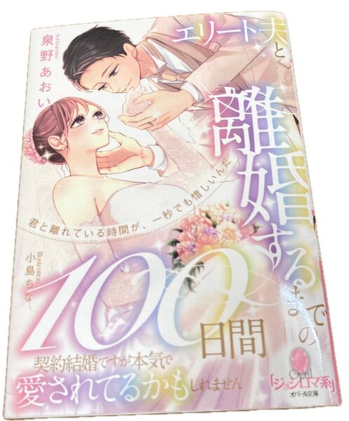 エリート夫と離婚するまでの100日間 契約結婚ですが本気で愛されてるかもしれません (オパール文庫2025/3) 泉野あおい