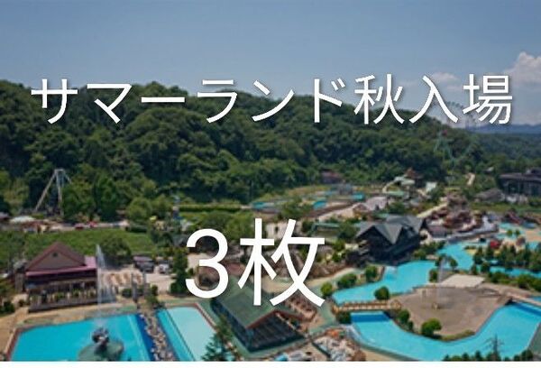 東京サマーランド 秋1dayパス3枚