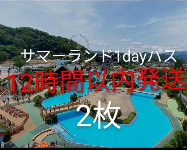 東京サマーランド 1dayパス2枚