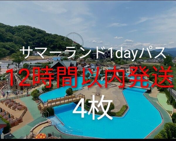 東京サマーランド 1dayパス4枚