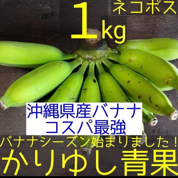 〈沖縄県産バナナコスパ最強〉沖縄県産 ブラジル種バナナB品 約1kg【ネコポス】26
