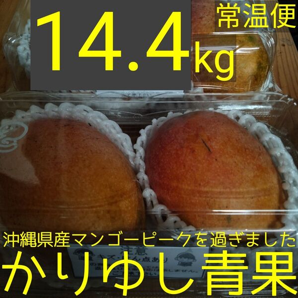 沖縄県産 マンゴーB品C品 約14.4kg【常温便】①
