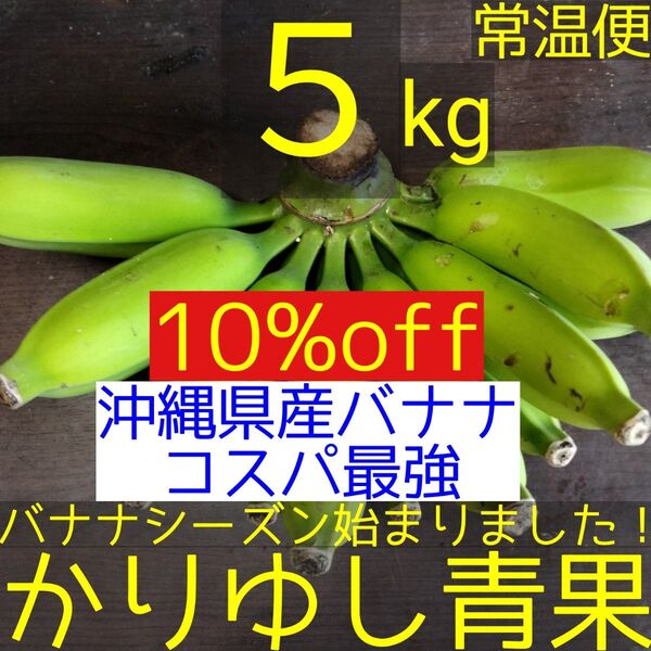 【10%off】〈沖縄県産バナナコスパ最強〉沖縄県産 ブラジル種バナナB品 約5kg【常温便】②