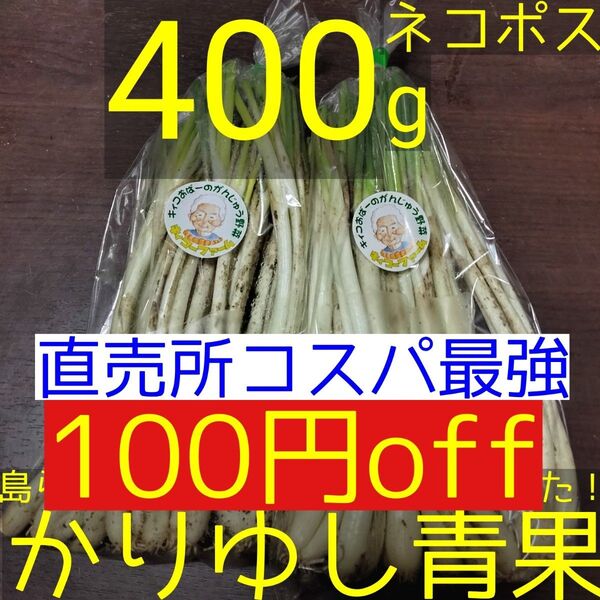 〈直売所コスパ最強〉沖縄県産Kおばーの島らっきょう 約400g【ネコポス】