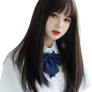 フルウィッグ セミロング 黒茶色