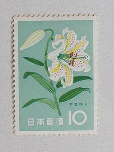 [ unused ] flower series yama lily 1 sheets 