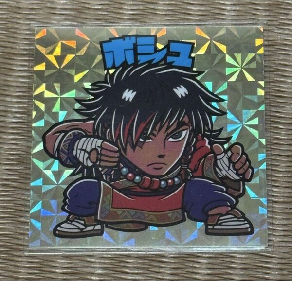 ストリートファイター ボシュ グリーンハウス シール
