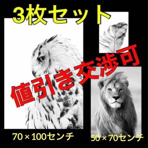 ふくろうポスター、ライオンポスター、動物ポスター、海外オシャレアートポスター、70 × 100、50 × 70、30 × 40