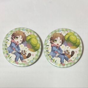 うらたぬき 缶バッジ たぬわん たぬワン アイス デフォ update 2025