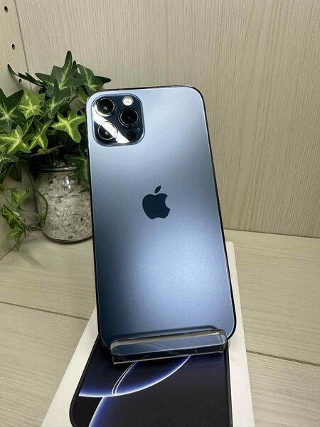 Apple iPhone12 Pro 512GB