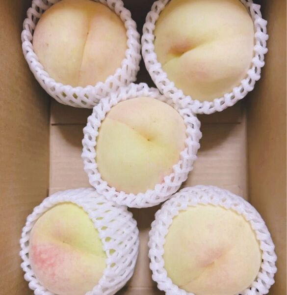 【和歌山県産 桃 清水白桃】約1.5kg 5〜8玉 ご家庭用 3,450円