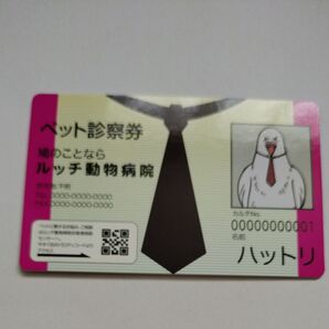 ONEPIECE カード ONEPIECE ハットリ カード ONEPIECE ルッチ ハットリ 食玩 パロディカード