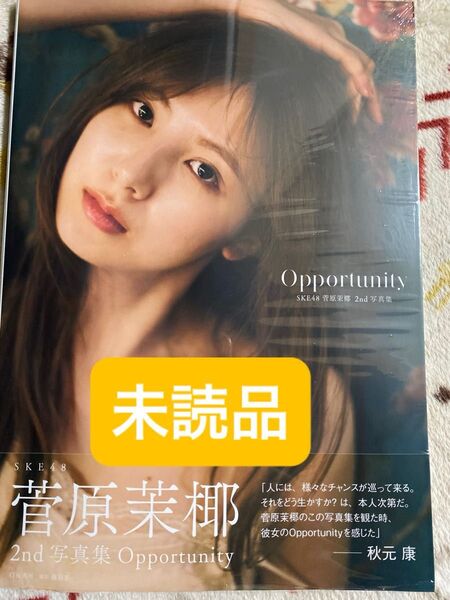 SKE48 菅原茉椰 2nd写真集 Opportunity 未読品D