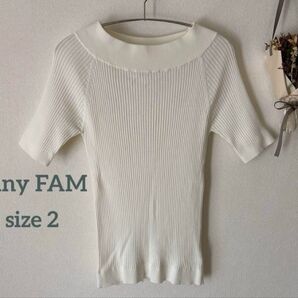 any FAM オンワード樫山 半袖リブニット サイズ2