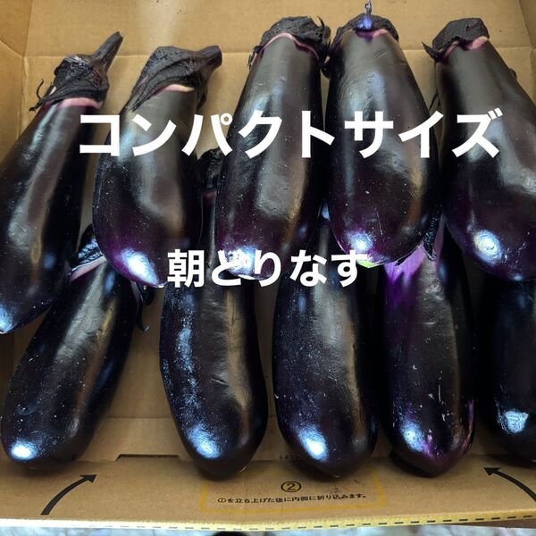 ナス 野菜 栽培期間中農薬不使用 除草剤不使用