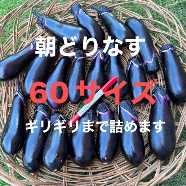 ナス 野菜 栽培期間中農薬不使用 除草剤不使用