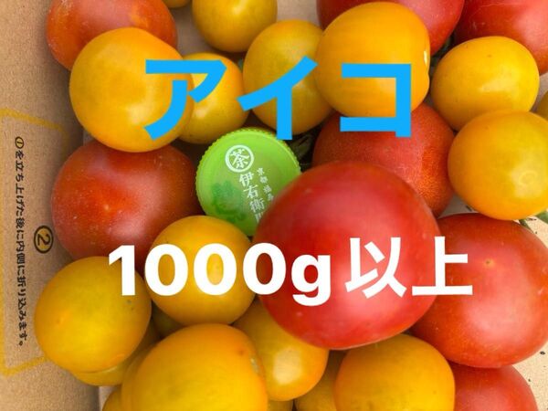 トマト 栽培期間中農薬不使用 除草剤不使用