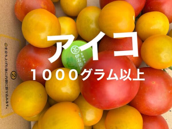 トマト 栽培期間中農薬不使用 除草剤不使用