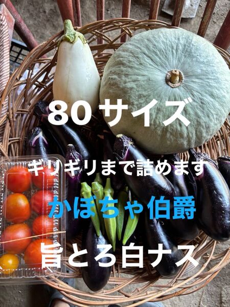 80サイズ野菜セットかぼちゃ旨とろ白ナスミニトマトマクワウリニンニクゴーヤなすきゅうり水ナス玉ねぎなどの中からおまかせで梱包