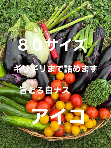 80サイズ野菜セット アスパラ 旨とろ白ナスミニトマトマクワウリニンニクゴーヤなすきゅうり水ナス玉ねぎなどの中からおまかせで梱包