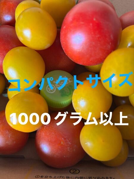 トマト 栽培期間中農薬不使用 除草剤不使用